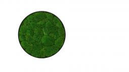 Pole moss  circle 