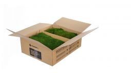 Platmos preserved / Flat Moss (box 2kg)