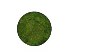 Flat moss circle 